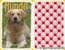 (S) Quartett Kartenspiel *KiK 2006* Hunde